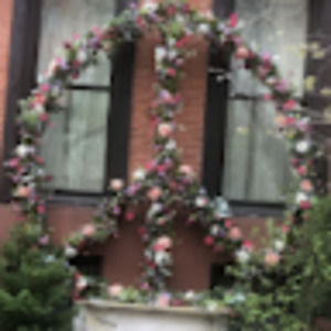 Meet your Posher, Phyllis